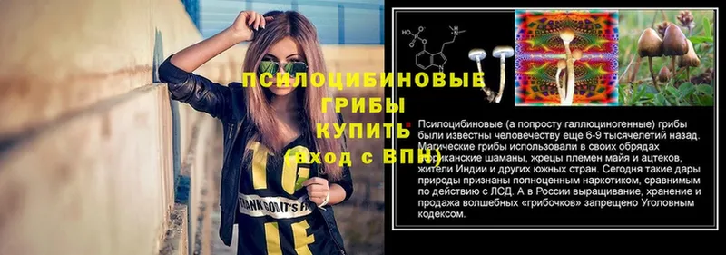 Псилоцибиновые грибы GOLDEN TEACHER  omg ССЫЛКА  Курчатов 